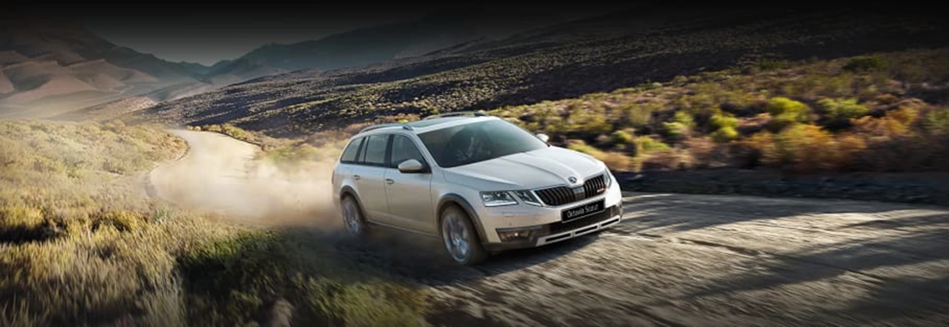 New Skoda Octavia Scout and vRS open UK orders